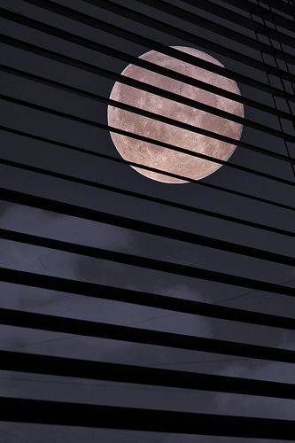 moonlight