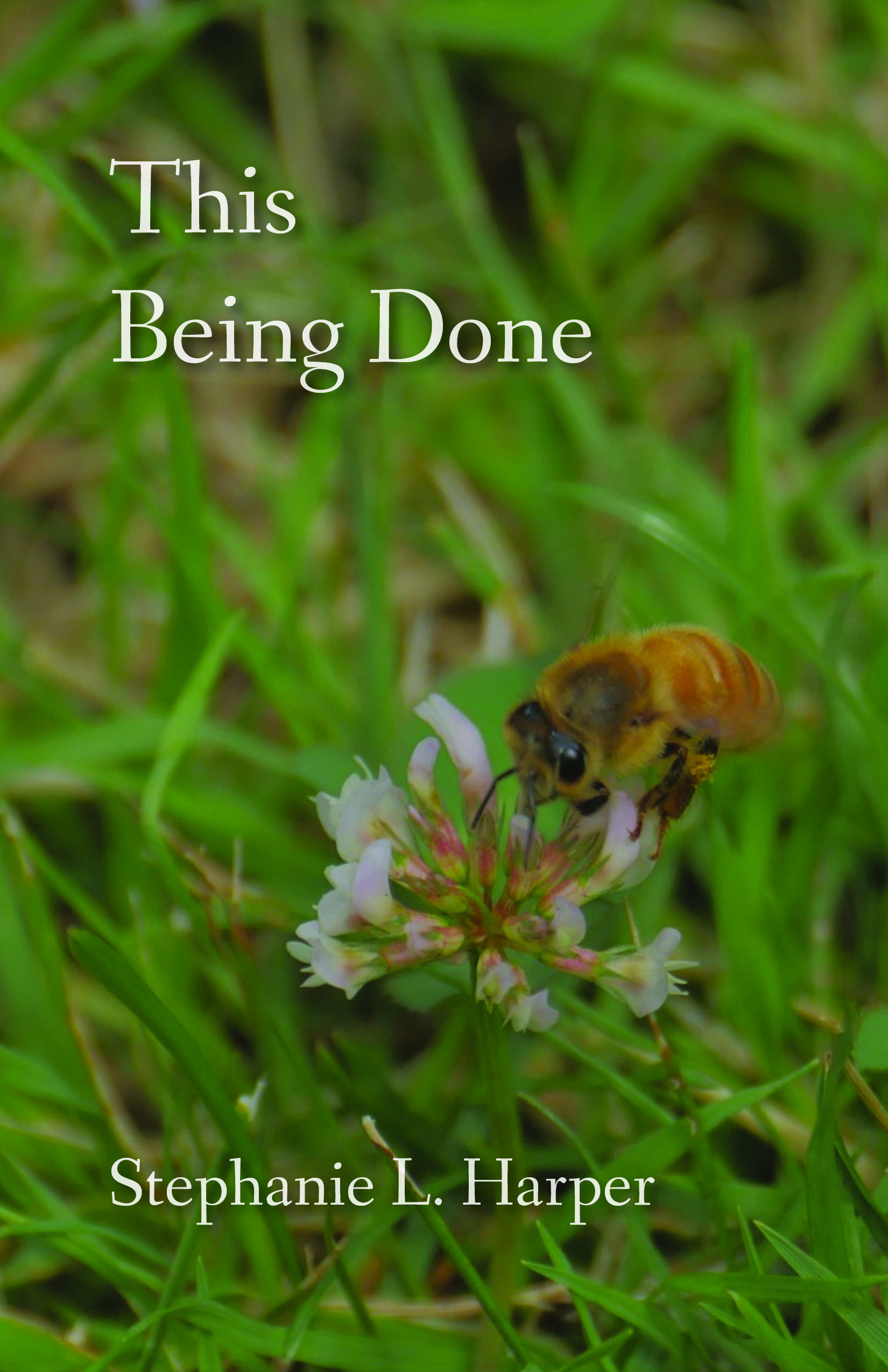 Harper_Stephanie_COV