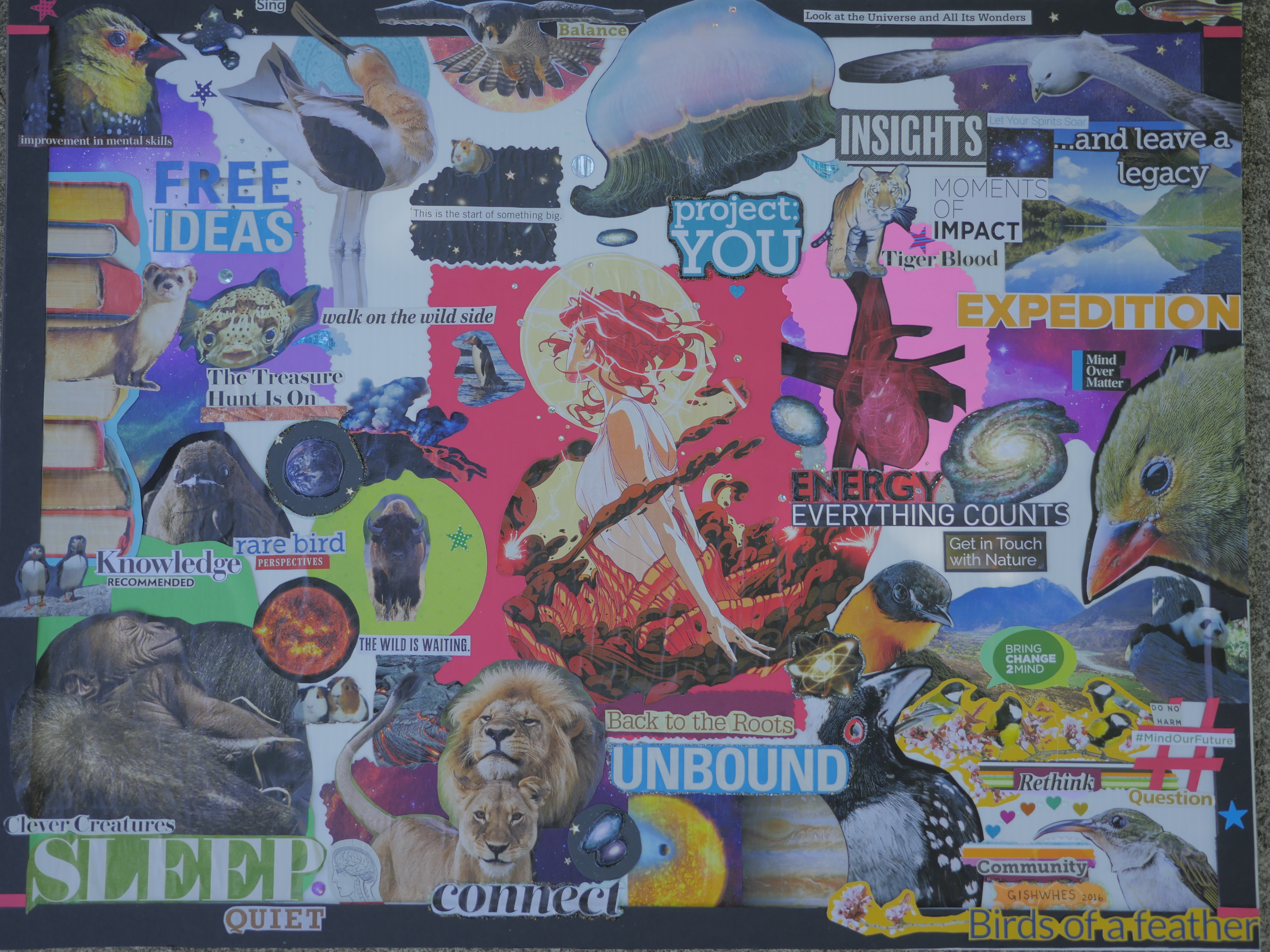 Vision Board_GISH 2016